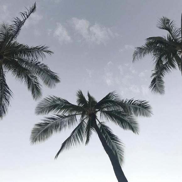 Meet your Posher, Ethi_Cali - Picture 1 of 1